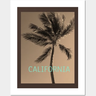 California palm tree Posters and Art